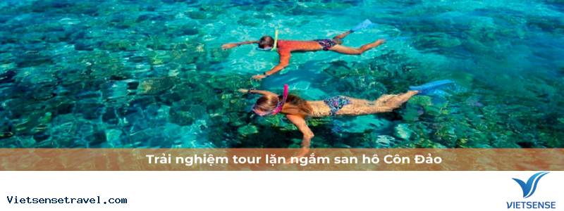 Một vài lưu ý khi tham gia tour lặn ngắm san hô Côn Đảo tại hòn Bảy Cạnh