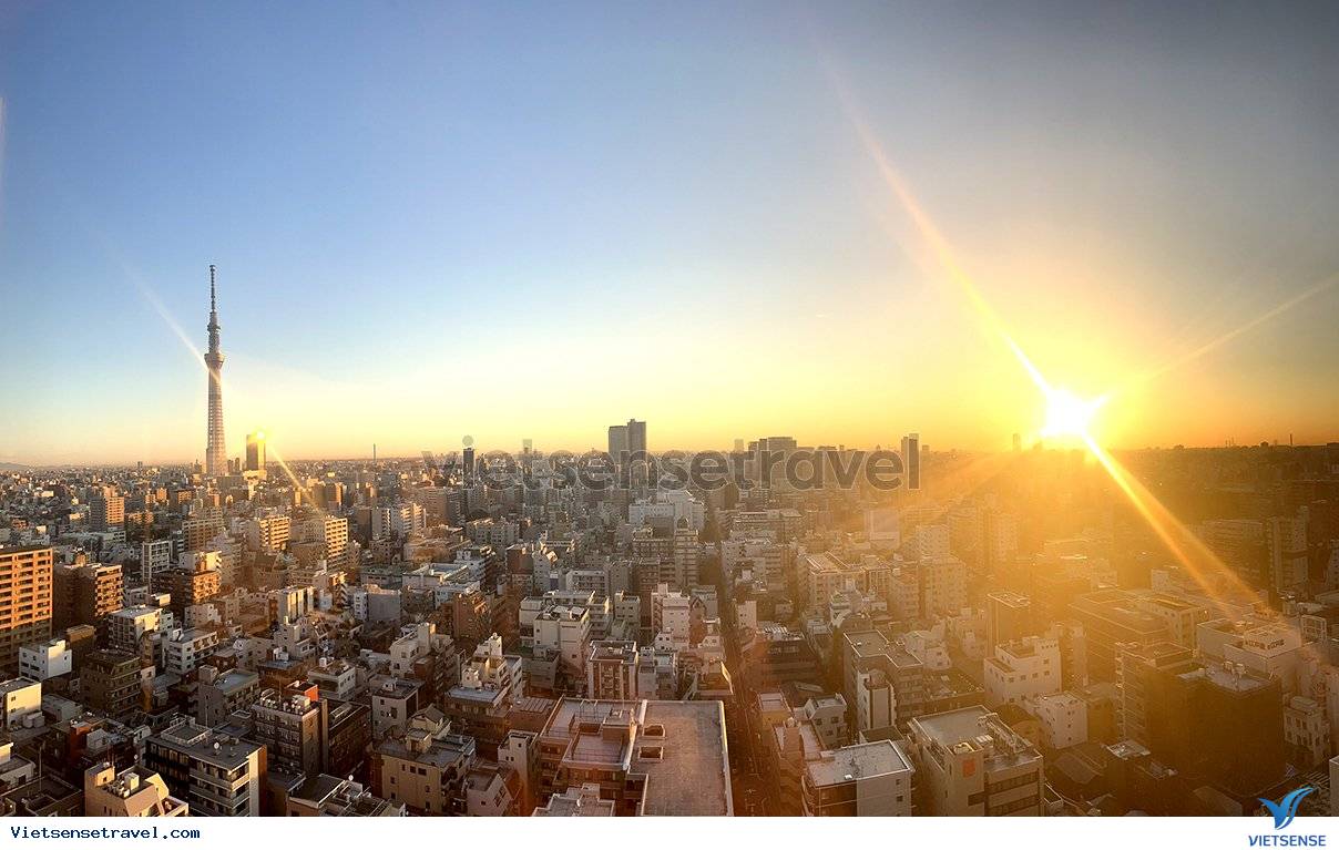 4 mùa ở nhật bản