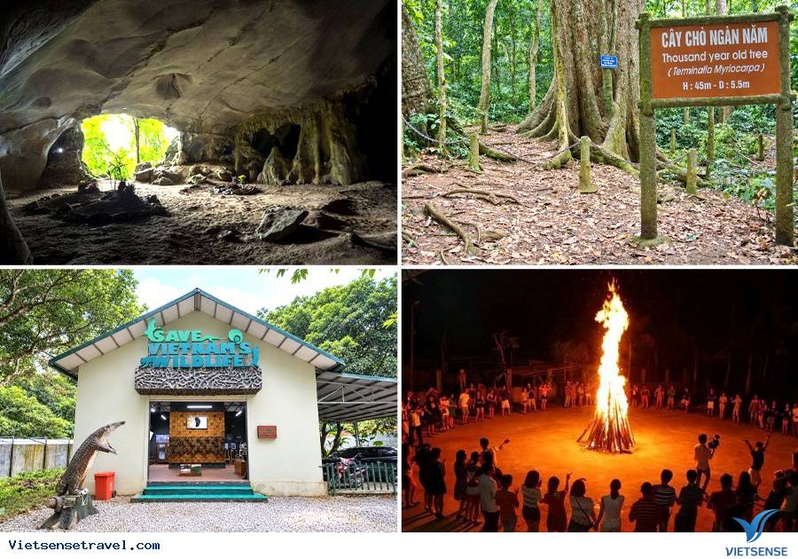 Ngày 1: Hà Nội – VQG Cúc Phương (Ăn trưa, chiều) Ngày 1: Hà Nội – VQG Cúc Phương (Ăn trưa, chiều)