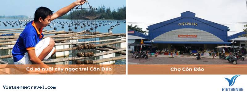 Ngày 2: Côn Đảo - TP. Hồ Chí Minh - Ảnh 2
