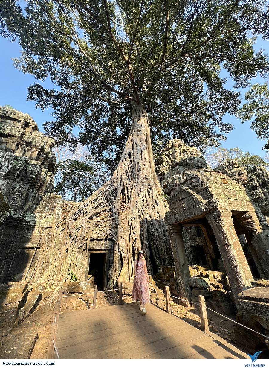 Ngày 2: Đền Angkor Wat – Đền Bayon – Đền Ta Prohm (Ăn sáng, trưa, tối) - Ảnh 6 Ngày 2: Đền Angkor Wat – Đền Bayon – Đền Ta Prohm (Ăn sáng, trưa, tối) - Ảnh 6