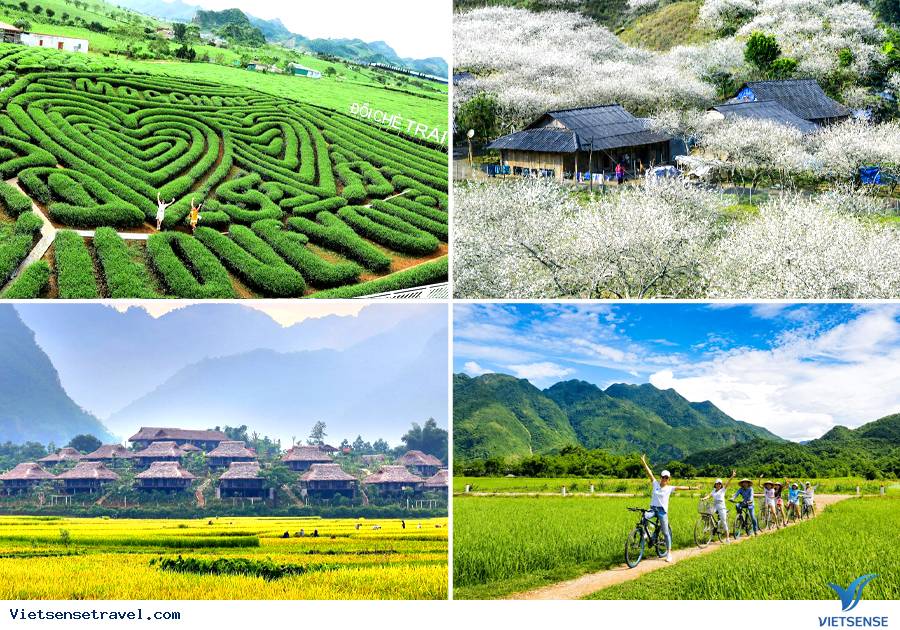 Ngày 2: Đồi chè Trái Tim – Thung lũng Nà Ka – Trở về (Ăn sáng, trưa) Ngày 2: Đồi chè Trái Tim – Thung lũng Nà Ka – Trở về (Ăn sáng, trưa)