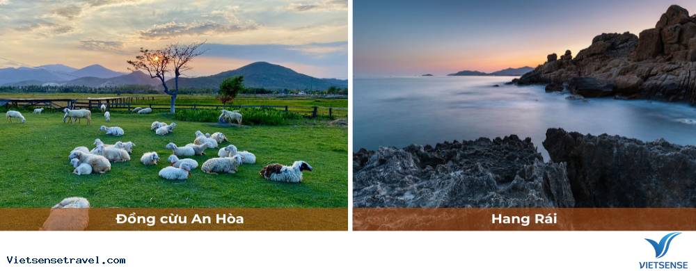 Ngày 2: Du lịch Ninh Thuận - Đồng Cừu - Hang Rái - Vịnh Vĩnh Hy - Vườn Nho - Ảnh 1