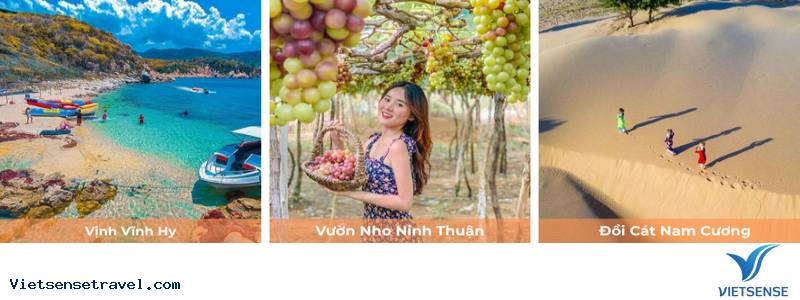 Ngày 2: Du lịch Ninh Thuận - Đồng Cừu - Hang Rái - Vịnh Vĩnh Hy - Vườn Nho - Ảnh 2