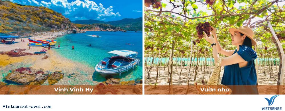 Ngày 2: Du lịch Ninh Thuận - Đồng Cừu - Hang Rái - Vịnh Vĩnh Hy - Vườn Nho - Ảnh 2