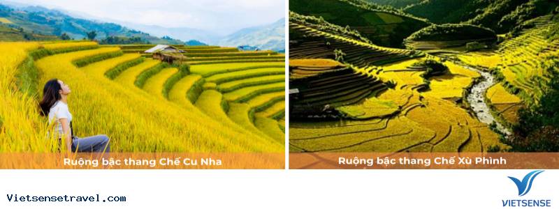 Ngày 2: Khám phá Mù Cang Chải, La Pán Tẩn & Bản Ngọc Chiến - Ảnh 1
