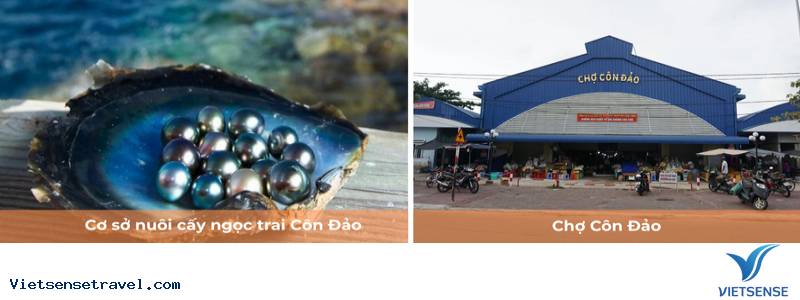 Ngày 2: Rời Côn Đảo trở về TP. Hồ Chí Minh - Hà Nội - Ảnh 2