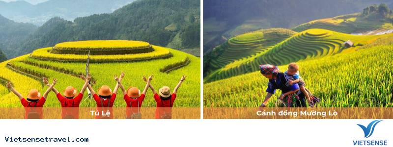 Ngày 2: Rời Nghĩa Lộ tham quan Đồi Mâm Xôi - Mù Cang Chải - Ảnh 2