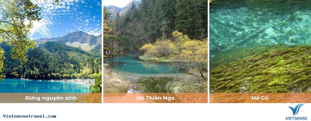 Ngày 3: Du ngoạn Cửu Trại Câu - Ảnh 1