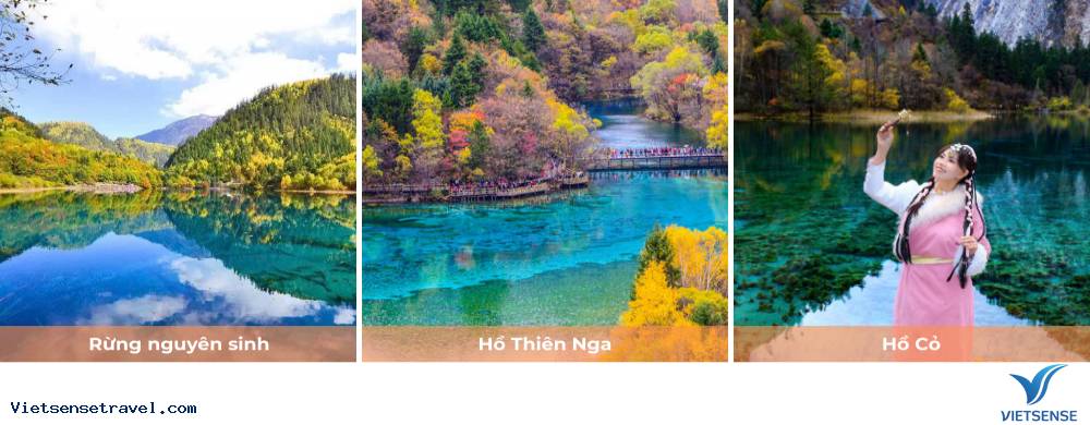 Ngày 3: Tham quan Cửu Trại Câu - Ảnh 1