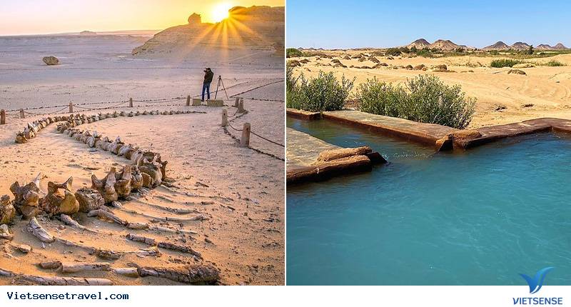 Ngày 4: Du ngoạn Ốc Đảo Bahariya - Cairo