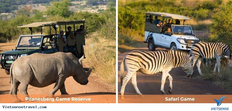 Ngày 4: Johannesburg khám phá Soweto - Khu Bảo Tồn Pilanesberg - Ảnh 2