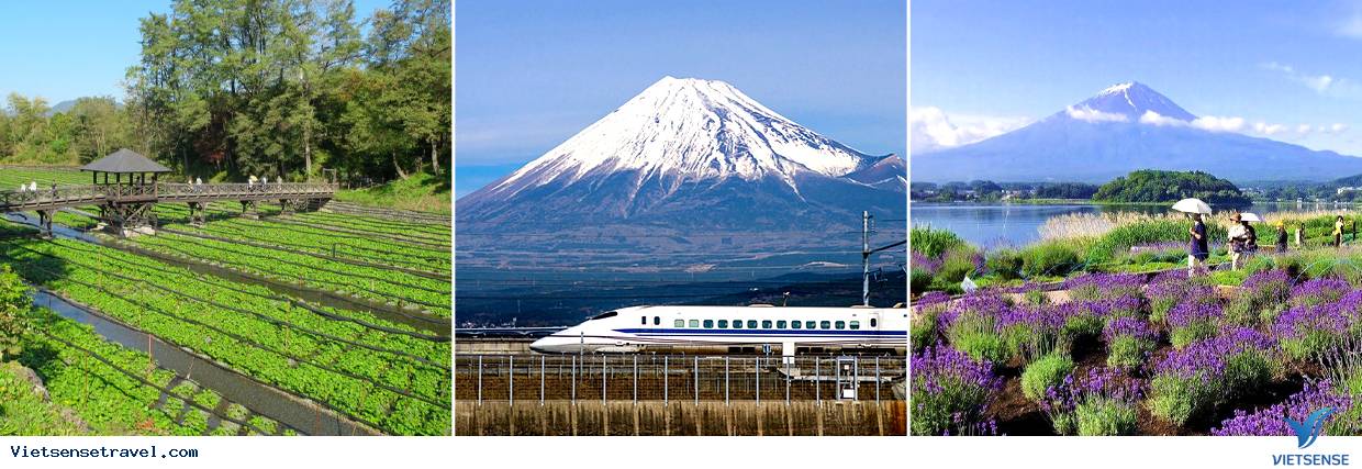 NGÀY 4: Matsumoto đi núi Fuji