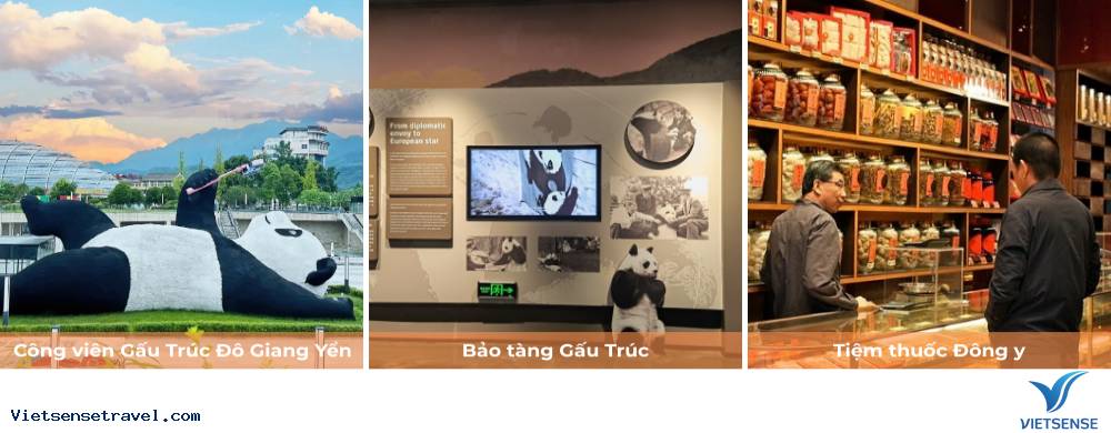 Ngày 5: Tham Quan Thành Đô - Đô Giang Yển- Thành Đô/Lạc Sơn