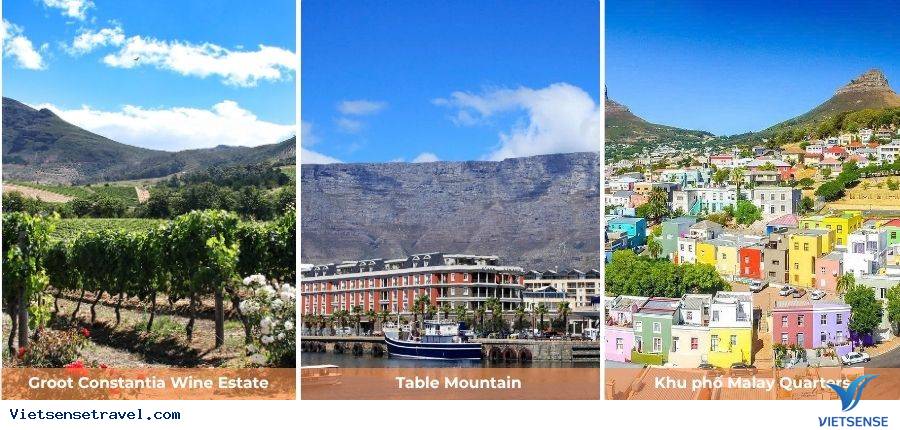 Ngày 6: Khám phá Cape Town - Núi Bàn - Điền Trang Groot Constantia - Ảnh 1