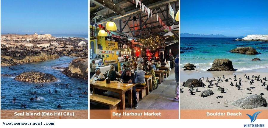 Ngày 7: Khám phá Seal Island - Boulder Beach - Cape Point - Ảnh 1