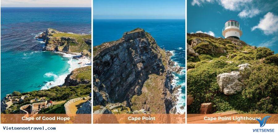 Ngày 7: Khám phá Seal Island - Boulder Beach - Cape Point - Ảnh 2