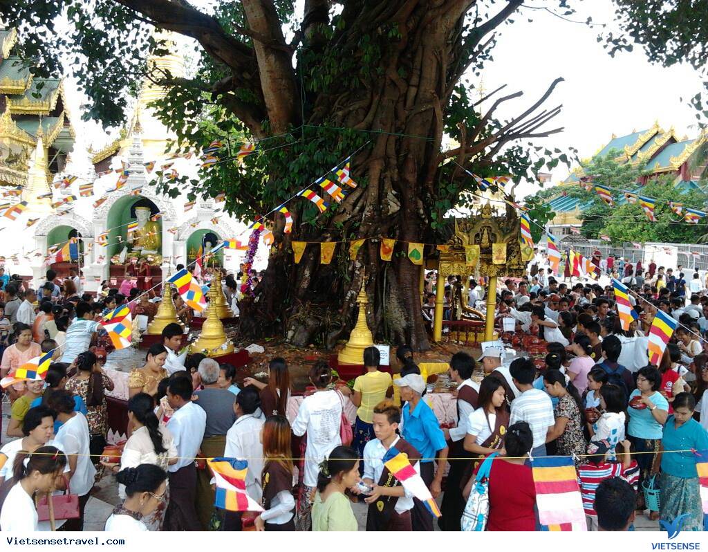 Lễ hội  Cason Full Moon Myanmar