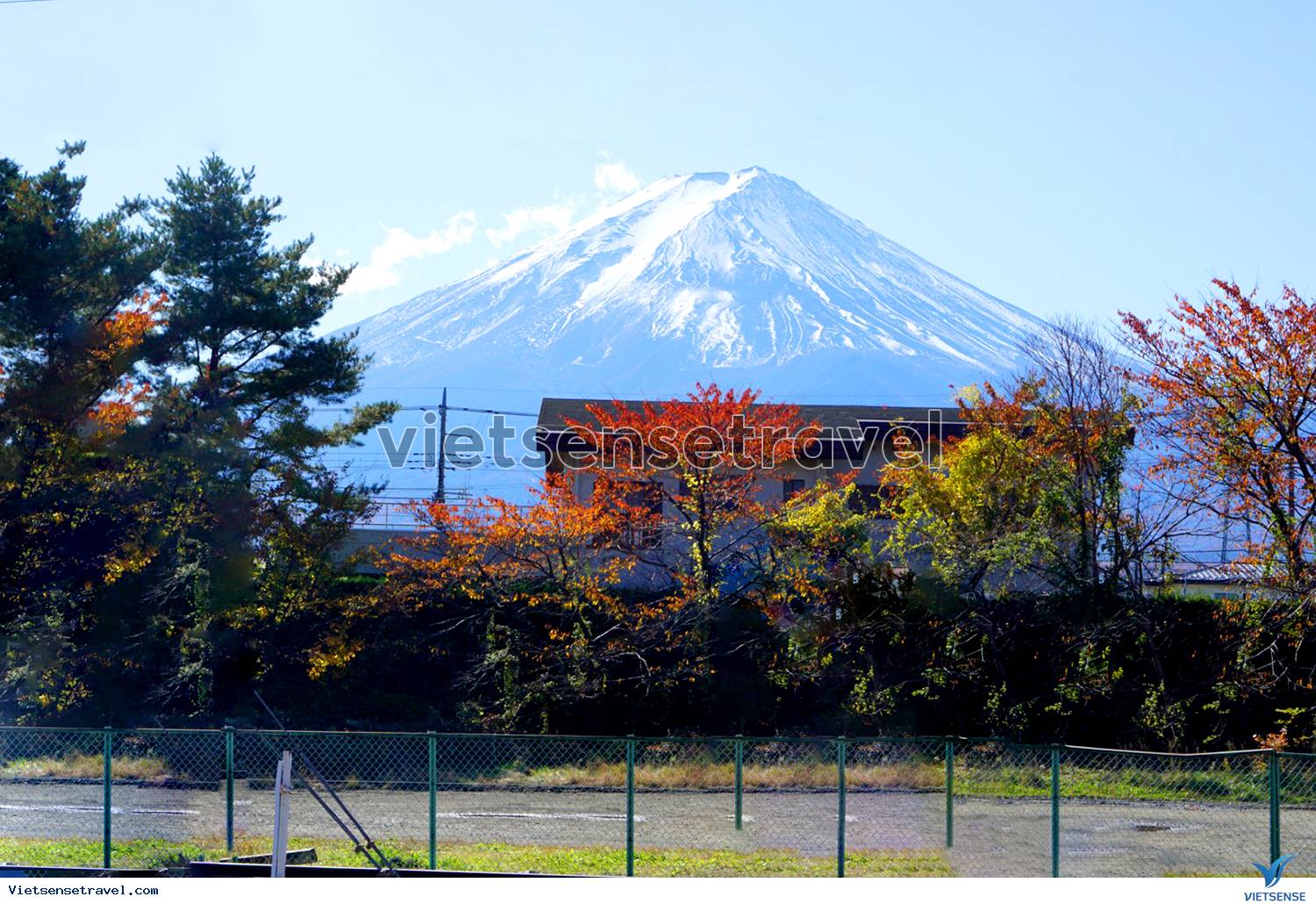 Du lịch Núi Phú Sĩ - Say đắm vẻ đẹp bốn mùa nơi xứ sở Phù tang