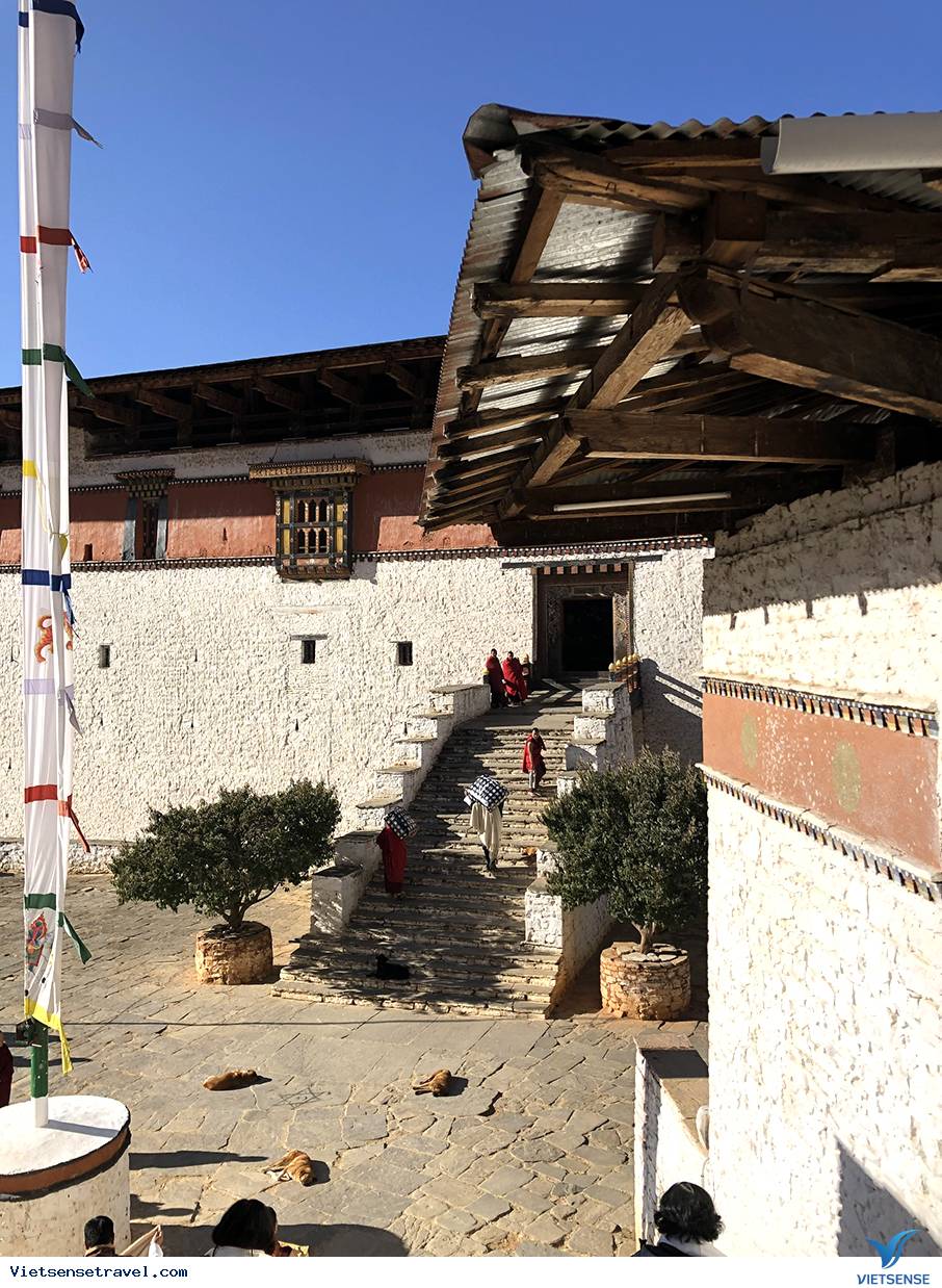 Paro – Đèo Dochula – Punakha Dzong