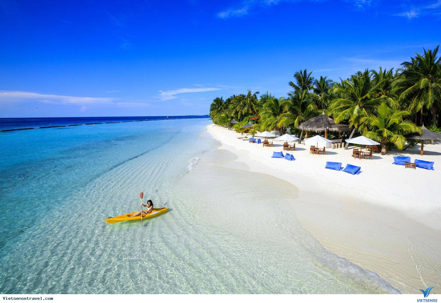 Bãi Trường - Ảnh 5