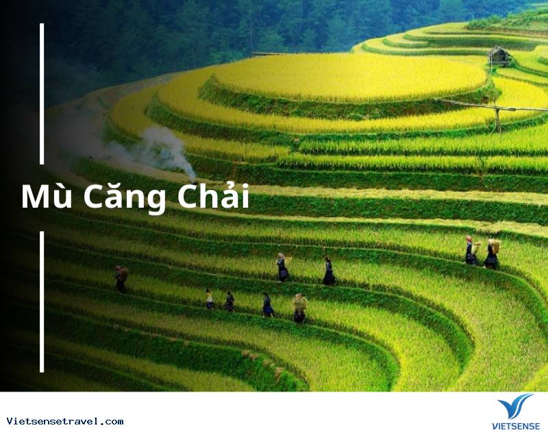 Mù Căng Chải