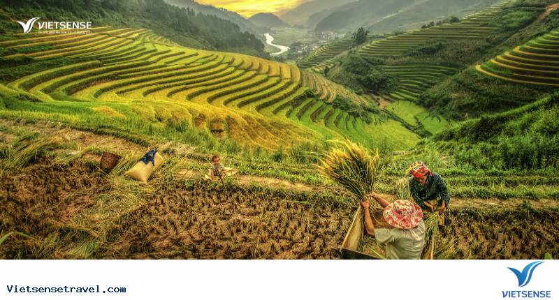 Thời điểm vàng để đi phượt Tây Bắc