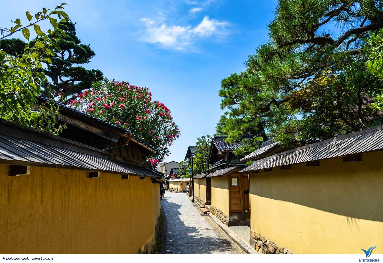 Samurai Nhật Bản