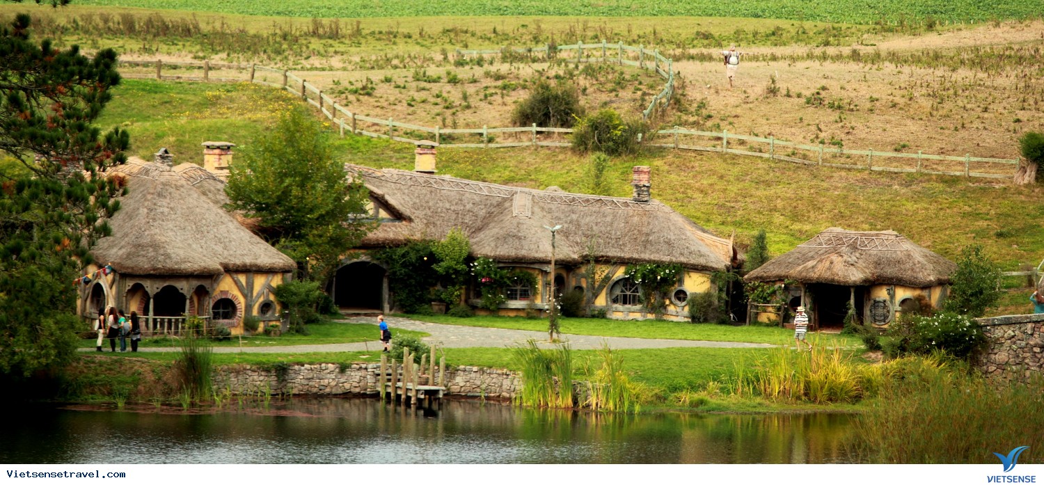 Rotorua - Hobbiton - Auckland