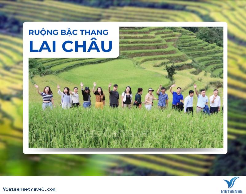 Ruộng bậc thang Lai Châu