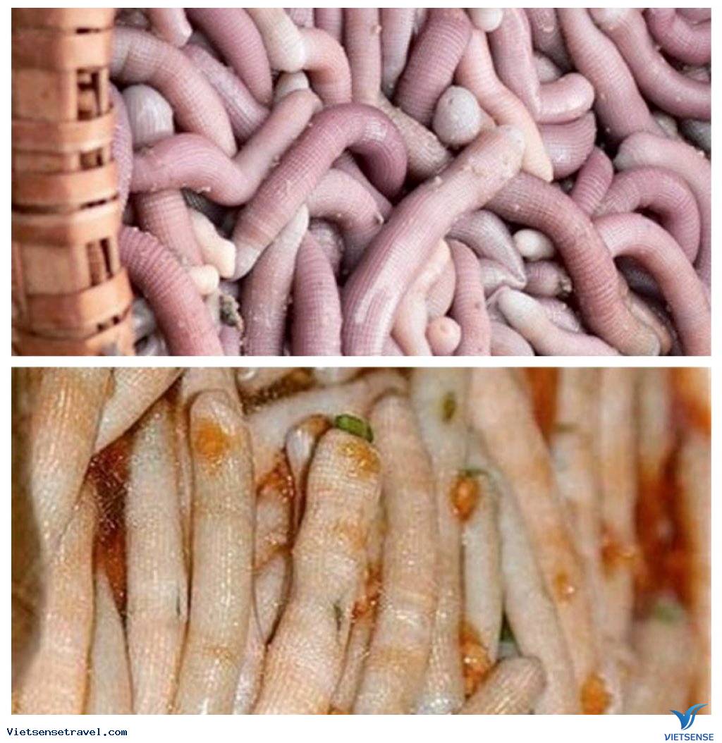 Sá Sùng
