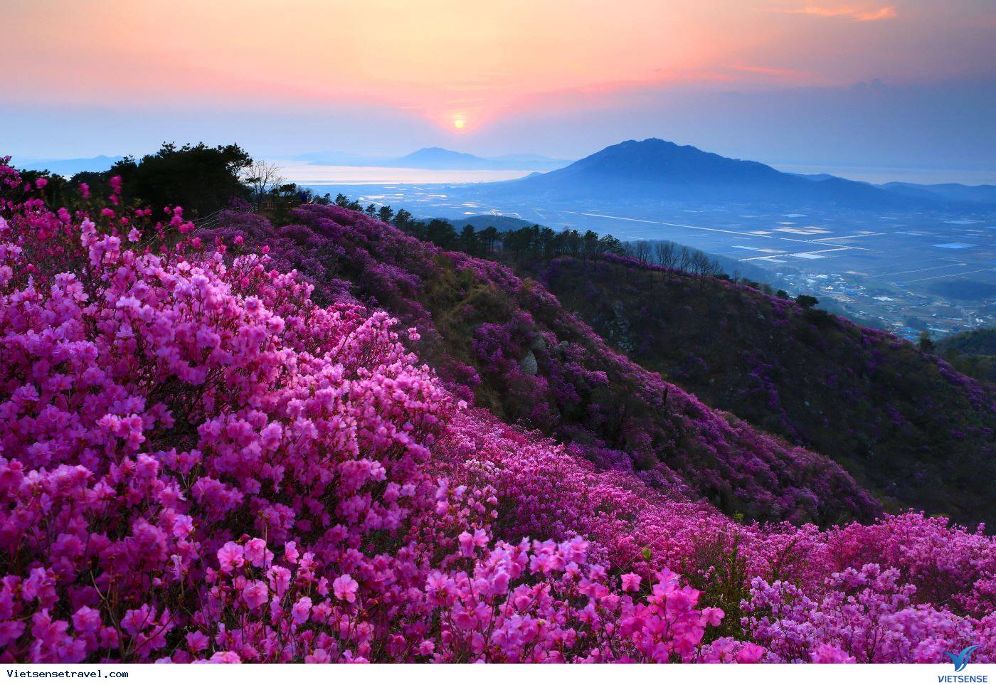 4.MÙA ĐÔNG - Ảnh 2