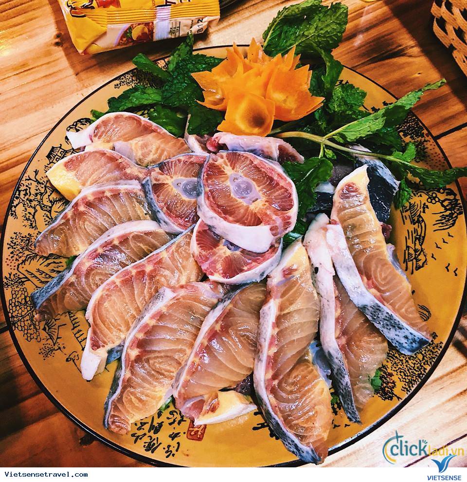 Cá hồi, cá tầm Sapa Cá hồi, cá tầm Sapa