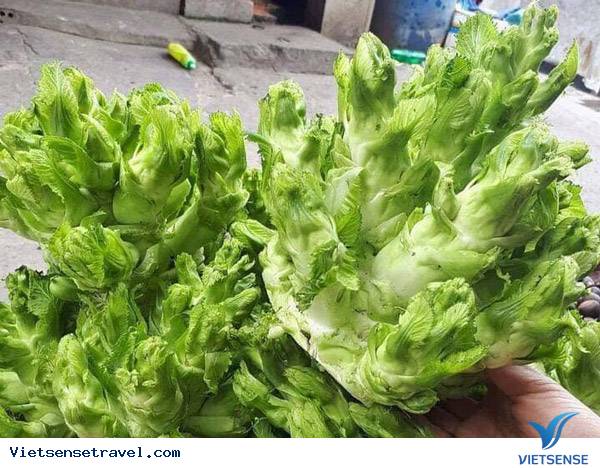 Rau mầm đá - Ảnh 1