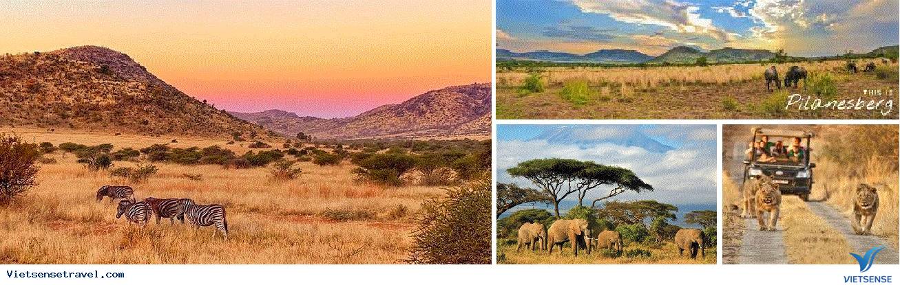 SUN CITY  – JOHANNESBURG – CAPE TOWN