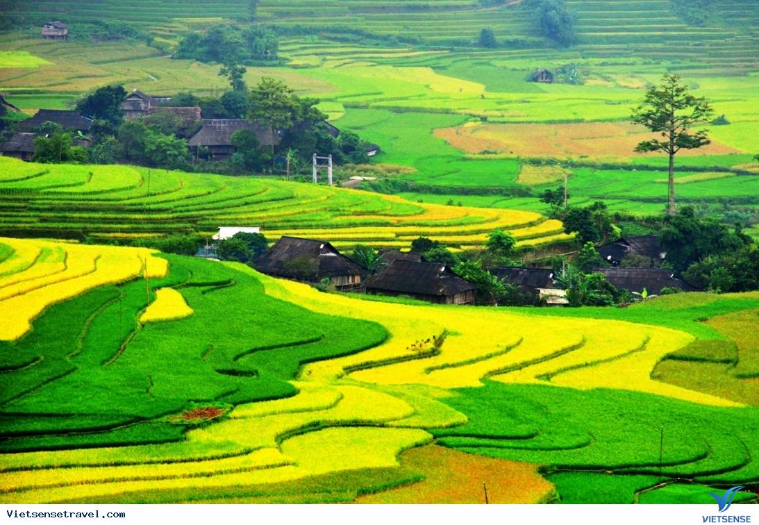 Thời gian nên đi Sapa ? Thời gian nên đi Sapa ?