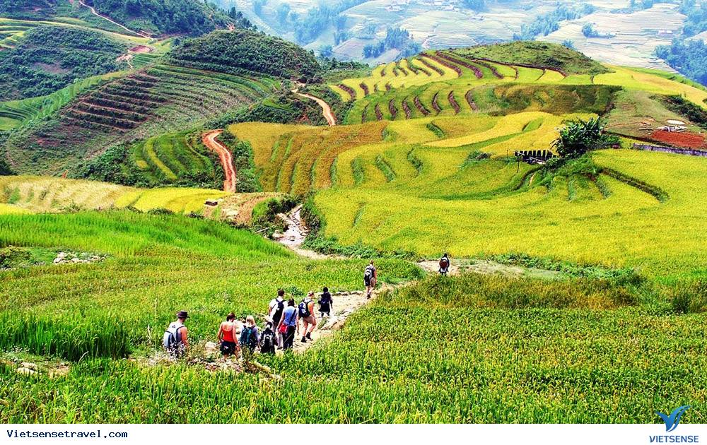 Thời tiết Sapa tháng 11 - Ảnh 1