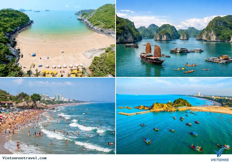 Tour du lịch doanh nghiệp biển hè chuyên nghiệp, giá tốt nhất - Ảnh 9