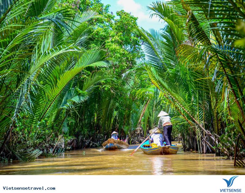 Tour Cù Lao Thới Sơn