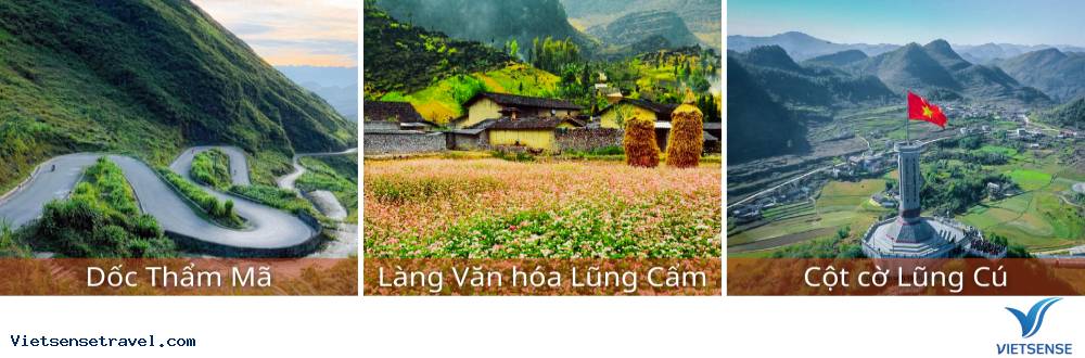 tour-ha-giang-mua-hoa-tam-giac-mach-2
