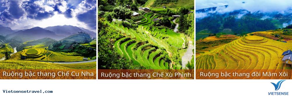 Ngày 2: Rời Nghĩa Lộ tham quan Đồi Mâm Xôi - Mù Cang Chải - Ảnh 1