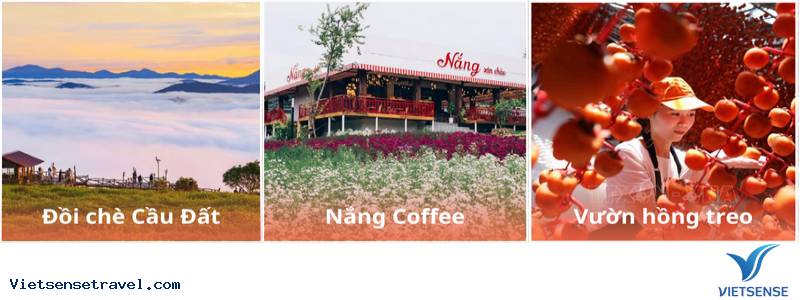 Tour săn mây Đà Lạt