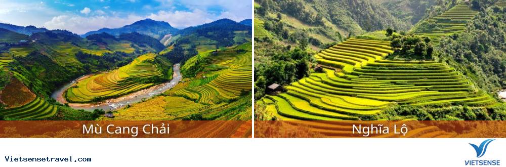 tour-tram-tau-mu-cang-chai-tu-le-3
