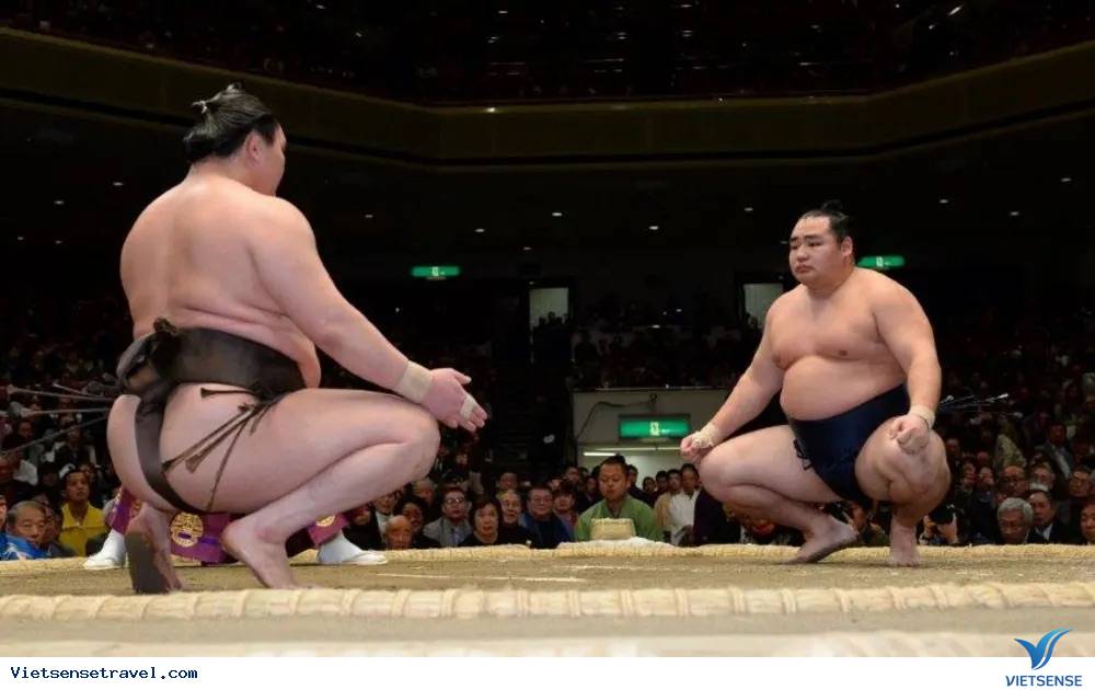sumo nhat ban nhung dieu ban chua biet