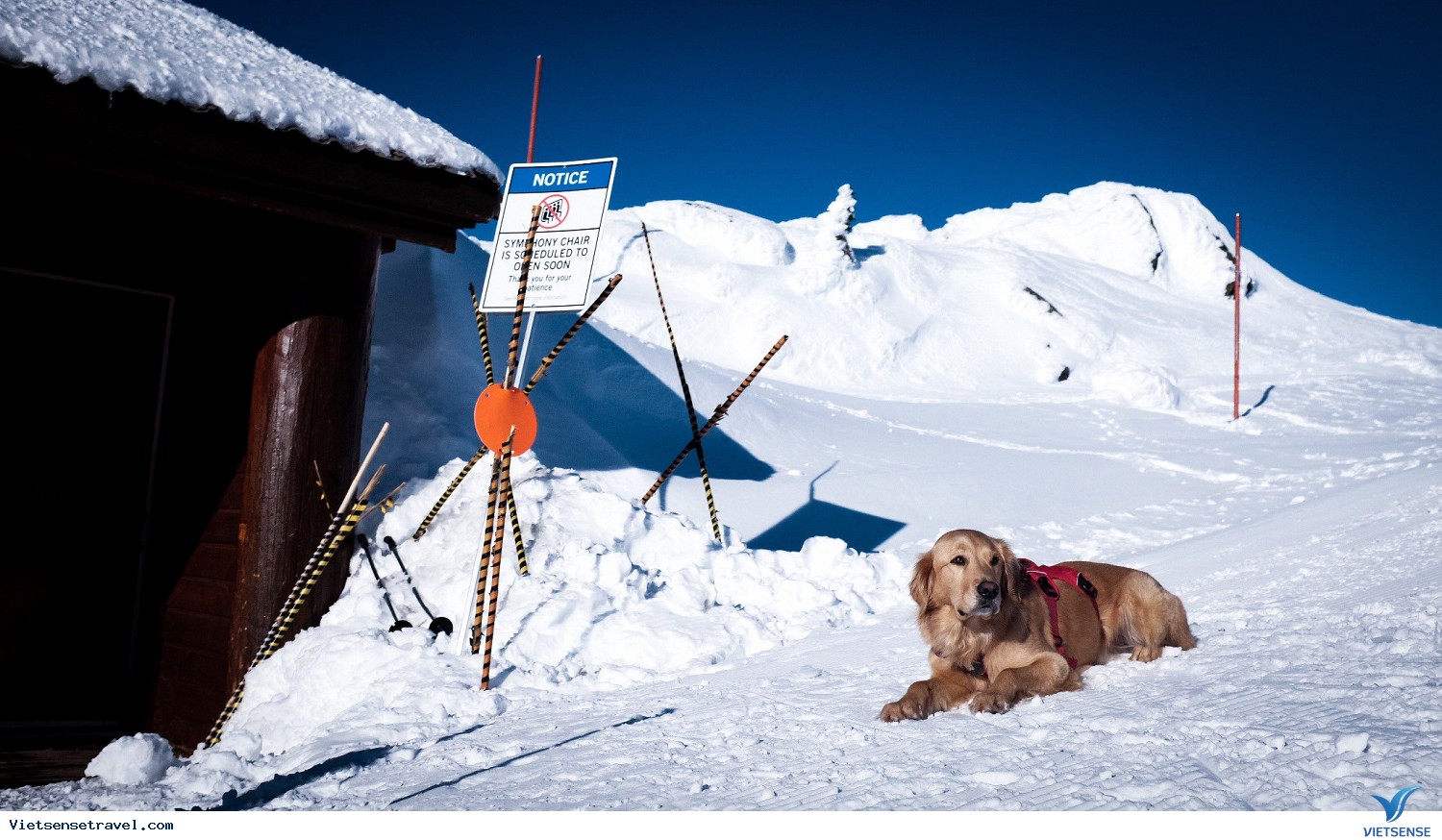 Vancouver - Whistler Blackcomb