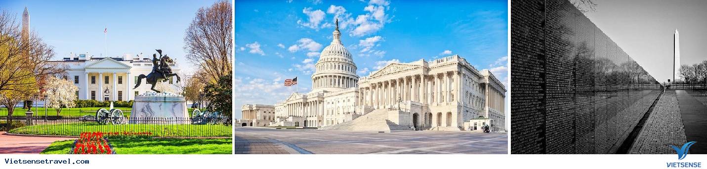 WASHINGTON D.C